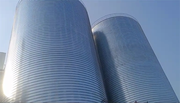 桂东2座混凝土高架卷板仓